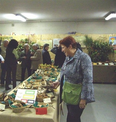 Mostra Micologica Senese