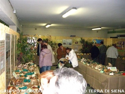 Mostra Micologica Senese