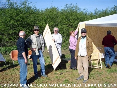 Festa della Montagnola Senese