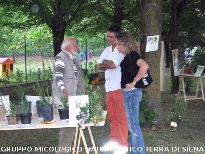 Mostra delle erbe spontanee