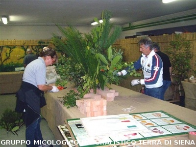 XI^ Mostra Micologica Senese
