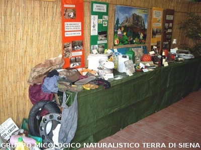 XI^ Mostra Micologica Senese