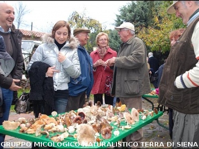 Escursione Micologica in loc. Monticiano