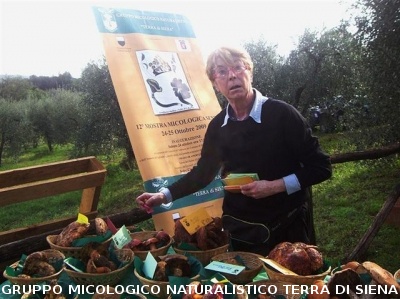 Mostra Micologica a Ancaiano