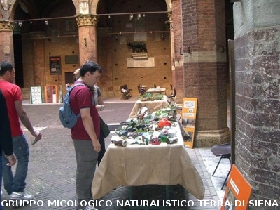 Mostra Poster