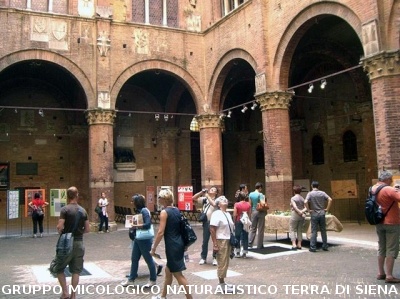 Mostra Poster