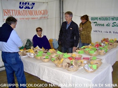 Mostra Micologica a Monticiano