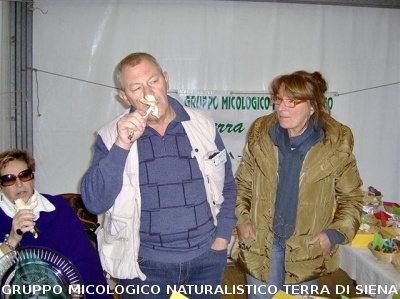 Mostra Micologica a Monticiano