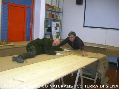 XII^ Mostra Micologica Senese