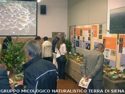 XII^ Mostra Micologica Senese
