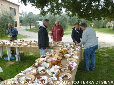 Mostra Micologica a Ancaiano