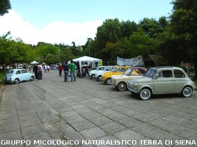 Mostra delle erbe spontanee