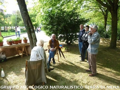 Mostra delle erbe spontanee