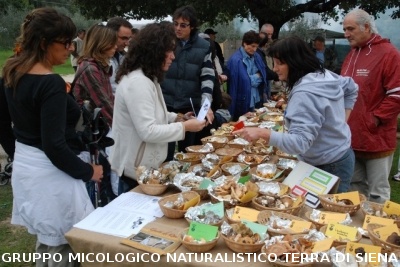 Mostra Micologica a Ancaiano