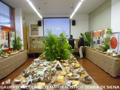 XIII^ Mostra Micologica Senese