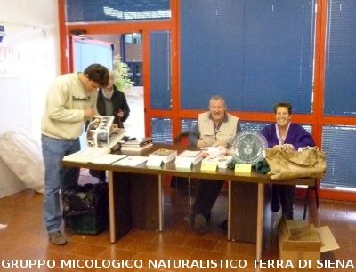 XIII^ Mostra Micologica Senese