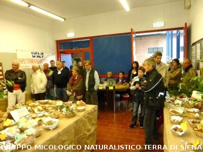 XIII^ Mostra Micologica Senese
