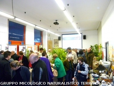 XIII^ Mostra Micologica Senese