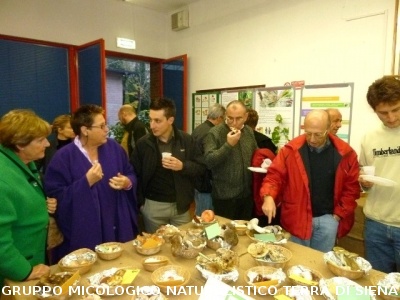 XIII^ Mostra Micologica Senese