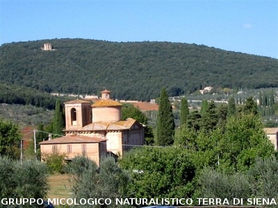Mostra Micologica a Ancaiano