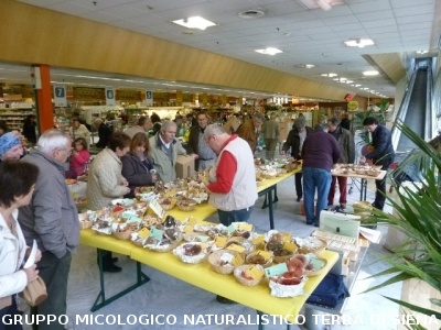 Mostra Micologica presso il Supermercato UNICOOP