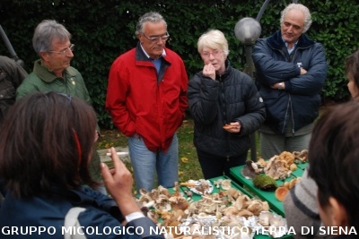 Fasi della determinazione