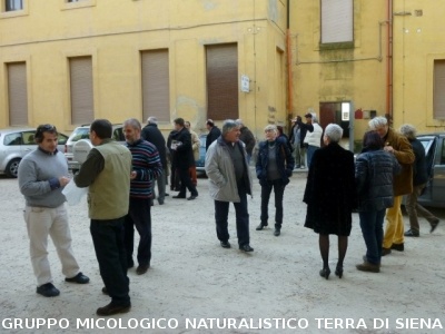 Riunione AGMT a Follonica