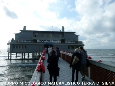 Riunione AGMT a Follonica