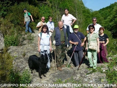 Riunione AGMT a Follonica