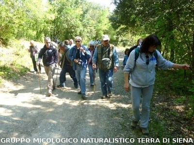 Escursione a Castiglion che Dio sol sà