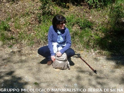 Escursione a Castiglion che Dio sol sà