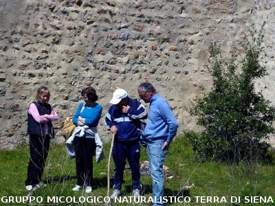 Escursione a Castiglion che Dio sol sà