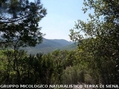 Escursione a Castiglion che Dio sol sà