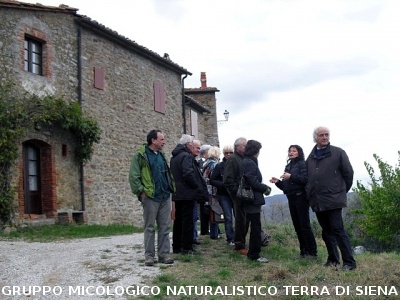 Escursione micologica senza funghi