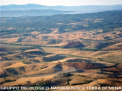 Crete senesi