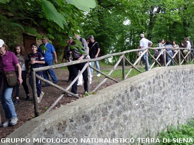 Escursione alla sorgente dell'Ermicciolo