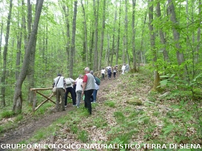 Escursione alla sorgente dell'Ermicciolo
