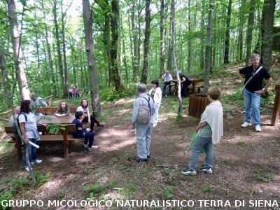 Escursione alla sorgente dell'Ermicciolo