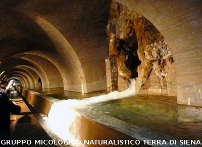 Escursione alla sorgente dell'Ermicciolo