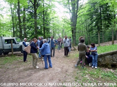 Escursione alla sorgente dell'Ermicciolo