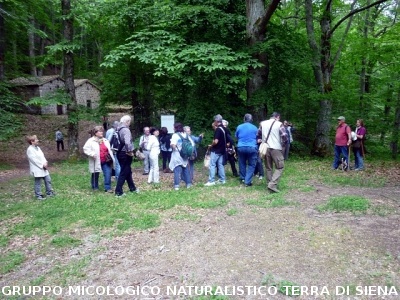 Escursione alla sorgente dell'Ermicciolo