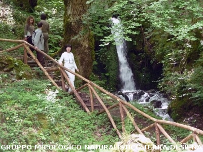 Escursione alla sorgente dell'Ermicciolo