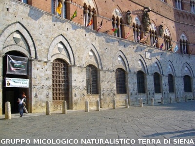 Mostra Poster nel Cortile del Podesta