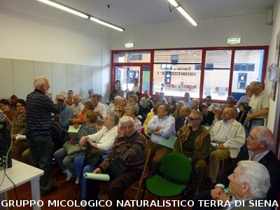 Conferenza sulle Erbe spontanee