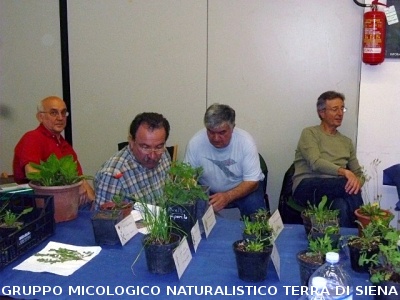 Conferenza sulle Erbe spontanee