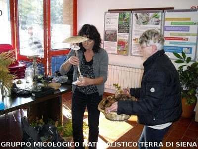 XIV^ Mostra Micologica Senese