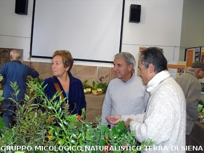 XIV^ Mostra Micologica Senese