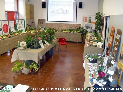 XIV^ Mostra Micologica Senese