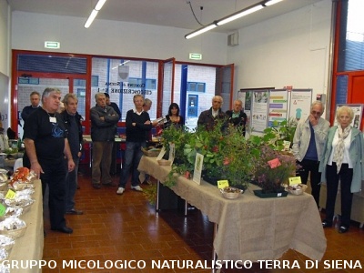 XIV^ Mostra Micologica Senese