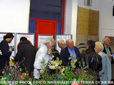 XIV^ Mostra Micologica Senese